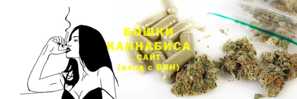 амф Арсеньев