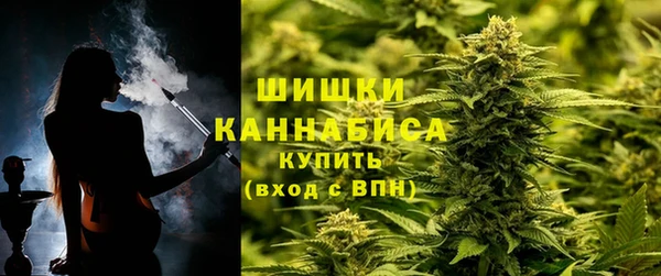 амф Арсеньев