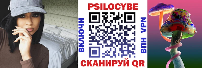 Псилоцибиновые грибы Psilocybine cubensis  Купить  Плёс 